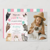 猫誕生日ポーティ写真 招待状 (正面/裏面)