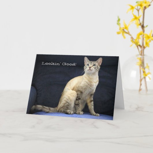 猫誕生日特別人用カード カード (黄色い花)