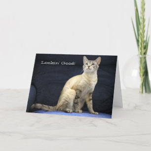 猫誕生日特別人用カード カード