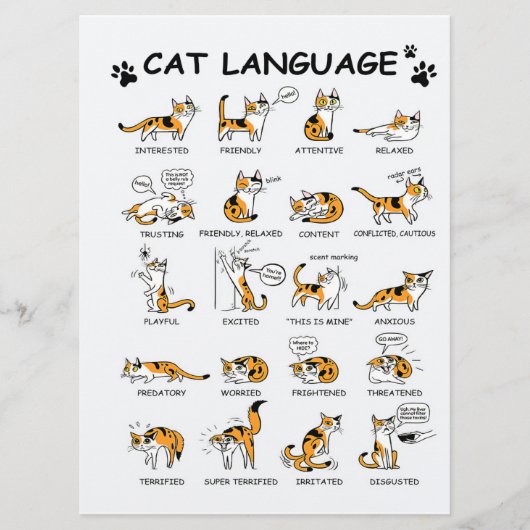 猫語、猫おもしろい子猫、ラブキャットギフトアイディア メニュー (正面)