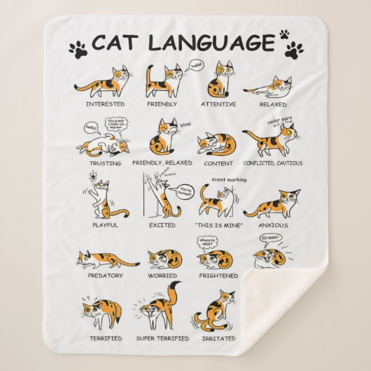 猫語、猫おもしろい猫、愛猫ギフトアイディア シェルパブランケット (正面)