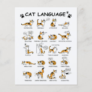 猫語、猫おもしろい猫、愛猫ギフトアイディア チラシ