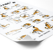 猫語、猫おもしろい猫、愛猫ギフトアイディア フォトプリント            (角)