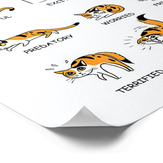 猫語、猫おもしろい猫、愛猫ギフトアイディア ポスター (角)