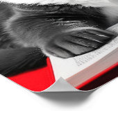 猫読の本 ポスター (角)