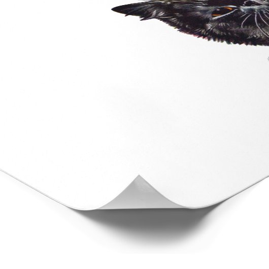 猫読の本、ルイ・ワイン ポスター (角)