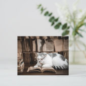 猫読の眼鏡接写 ポストカード (スタンド正面)