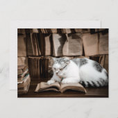 猫読の眼鏡接写 ポストカード (正面/裏面)