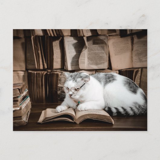 猫読の眼鏡接写 ポストカード (正面)