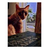 猫読ポスター ポスター (正面)