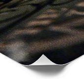 猫読ポスター ポスター (コーナー)