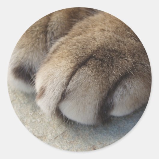 猫足のシール ラウンドシール (正面)