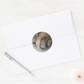 猫足のシール ラウンドシール (封筒)