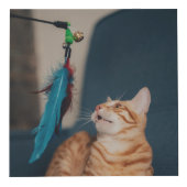 猫足のハートを金ゴールドに フォトキューブ (右)