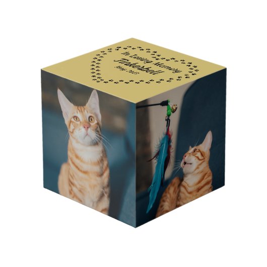 猫足のハートを金ゴールドに フォトキューブ (正面アングル)