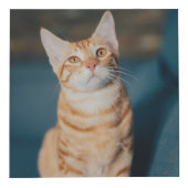 猫足のハートを金ゴールドに フォトキューブ (正面)