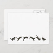 猫跳び ポストカード (正面/裏面)