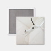 猫跳び マグネット (正面/裏面)