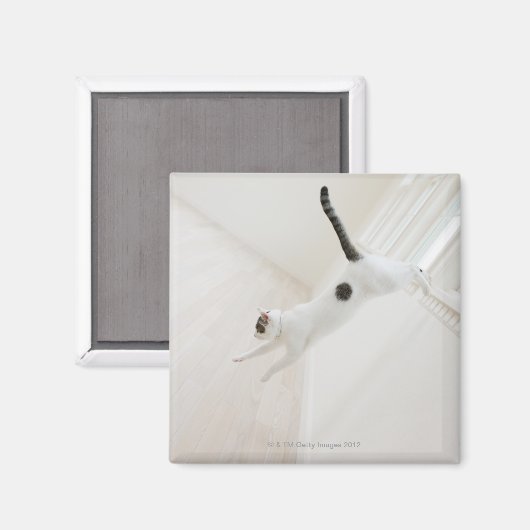 猫跳び マグネット (正面/裏面)