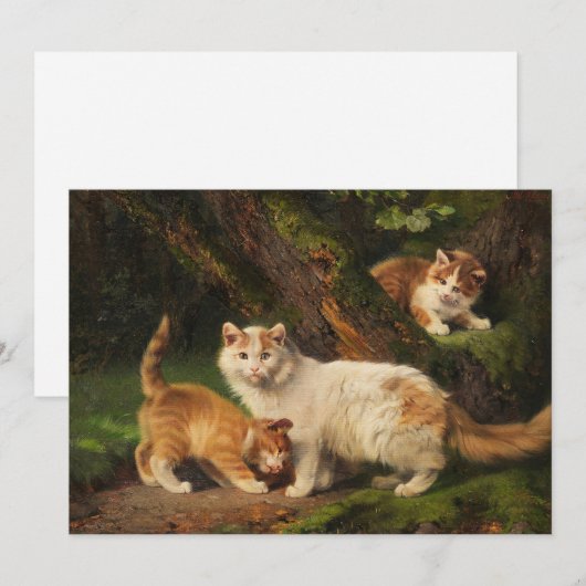 猫遊家 | ジュリアス・アダム (正面/裏面)