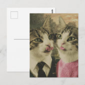 猫間抜け二匹 ポストカード (正面/裏面)