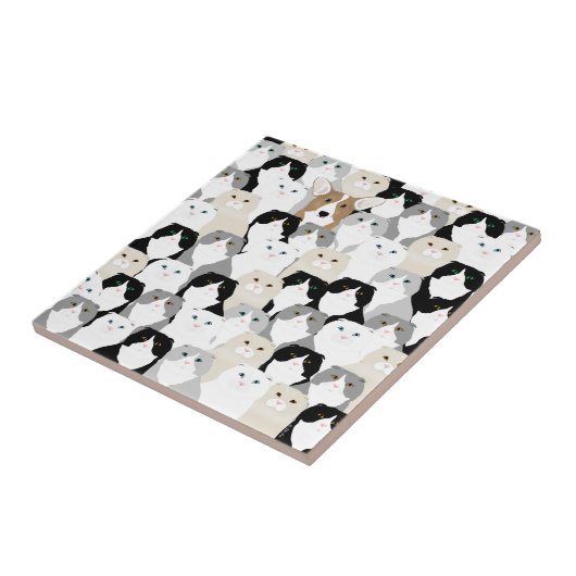 猫陶瓦 タイル (側面)