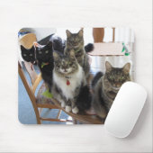 猫集団マウスパッド マウスパッド (マウス)
