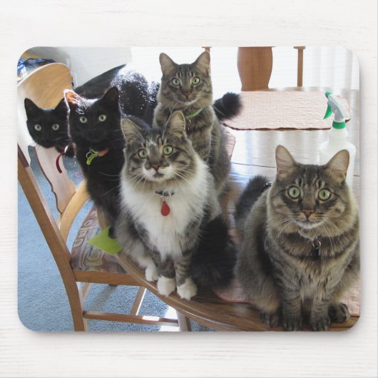 猫集団マウスパッド マウスパッド (正面)