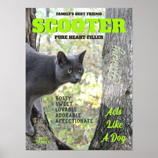 猫雑誌の表紙を飾る ポスター (正面)