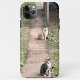 猫電話ケース iPhone 11 PRO MAXケース