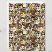 猫頭8.5x11スクラップブック紙熱狂する、キャットレディ (正面/裏面)