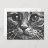 猫顔アイズ白黒かわいい写真 ポストカード (正面/裏面)