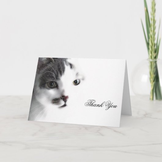 猫顔クローズアップサンキューカード サンキューカード (正面)