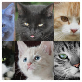 猫顔コラージュ裁縫クラフト生地 ファブリック (見本)