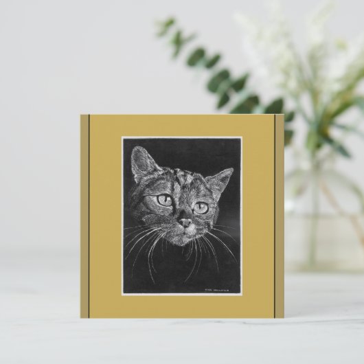 猫顔スケッチバイマークエドワードウェスタフィールドカード (スタンド正面)