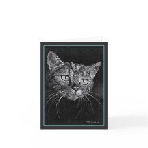 猫顔スケッチバイマークエドワードウェスタフィールド