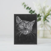 猫顔スケッチバイマークエドワードウェスタフィールド ポストカード (スタンド正面)