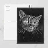 猫顔スケッチバイマークエドワードウェスタフィールド ポストカード (正面/裏面)