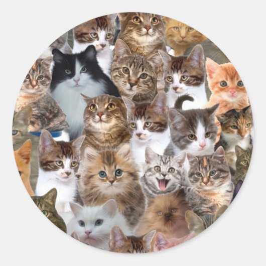 猫顔パターン ラウンドシール (正面)