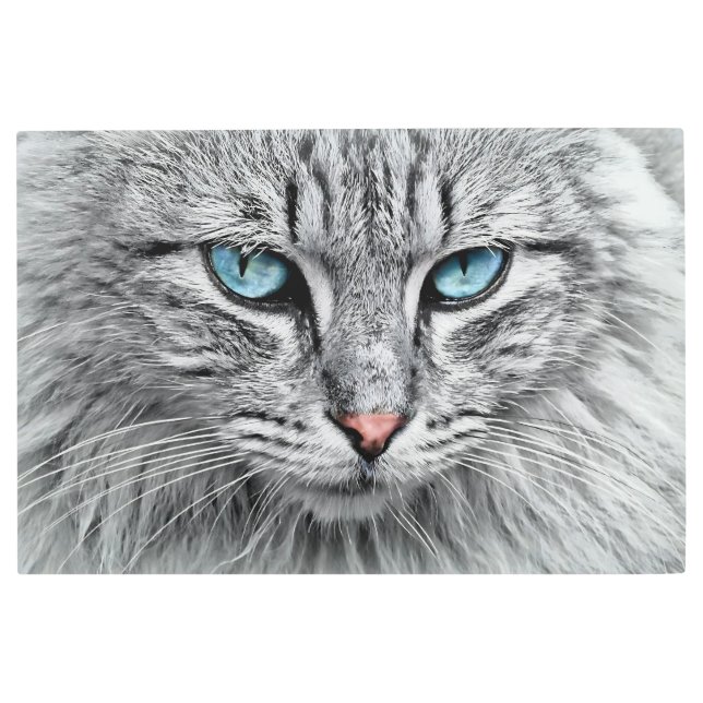 猫顔フラクタルデザイン-10682 メタルプリント (正面)