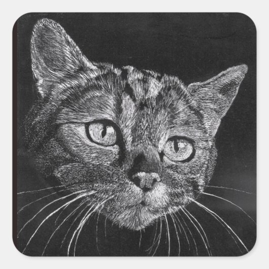 猫顔私の高校スケッチ スクエアシール (正面)