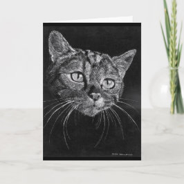 猫顔空白のカード。 シーズンカード