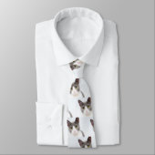 猫顔02 ネクタイ (タイ)