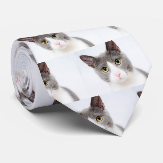 猫顔02 ネクタイ (ロール)