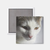 猫顔 マグネット (正面/裏面)