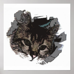 猫顔- Eyes of Catポスタープリント- Cat Posts ポスター