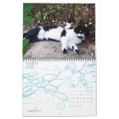猫風変わり2013 カレンダー (3月 2027)