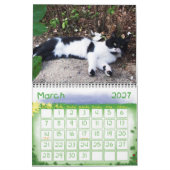 猫風変わり2014 カレンダー (3月 2027)
