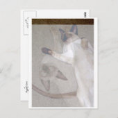 猫飛んでいる ポストカード (正面/裏面)