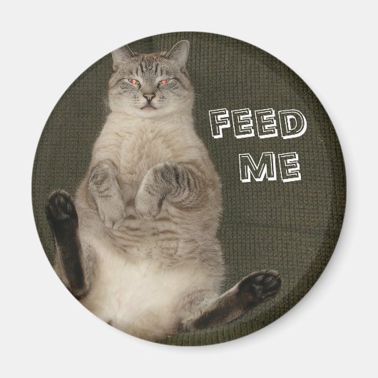 猫食べ物を与えのME マグネット (正面)